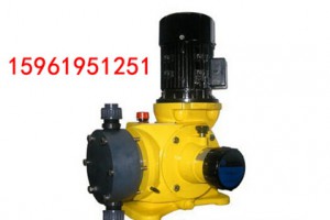 300L计量泵500L机械隔膜计量泵质量可靠