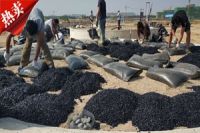 遼寧鐵嶺冷瀝青砂罐底墊層冷施工化工區(qū)無危險