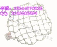 防墜網(wǎng) (2)_副本