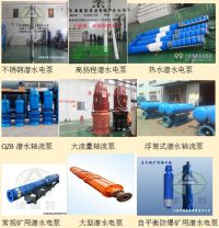 潛水電泵組合圖1