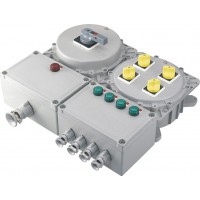 新黎明科创BXM-D系列防爆照明（动力）配电箱