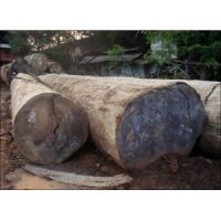 印尼菠蘿格多少錢一方?印尼菠蘿格是哪里產(chǎn)的