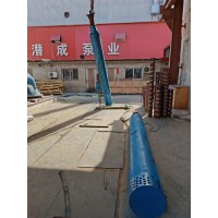 天津250QJR63-330-100KW耐高温热水深井泵