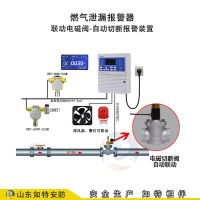 餐飲商用可燃?xì)怏w報(bào)警器 燃?xì)庑孤┳詣訄?bào)警儀表