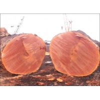 晉城優(yōu)質(zhì)紅鐵木廠家、紅鐵木市場(chǎng)價(jià)格特性