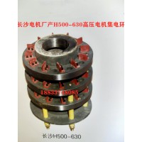 长沙电机厂产H500-630电机集电环