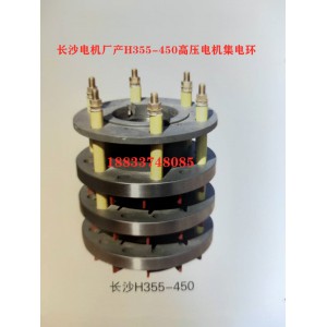 高压电机集电环H355-450长沙产电机集电环