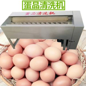 供应货真价实鸭蛋鸡蛋品清洗机