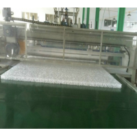 徐州塑料喷丝设备高分子塑料喷丝床垫生产线