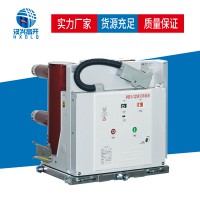 汉兴电气VS1-12户内高压真空断路器固定式厂家供应