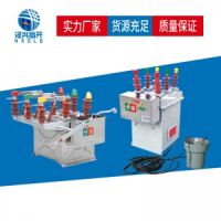 漢興電氣ZW-8-12（FG）戶外高壓真空斷路器廠家供應(yīng)