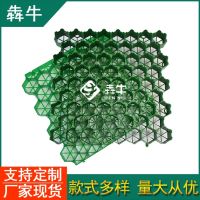 婁底綠色環保停車場消防通道植草板售后保障