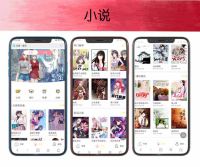 小說