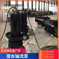 沧州市钢厂用500QZB潜水轴流泵昊泵厂家