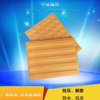 浙江余姚25㎜全瓷盲道砖价格/全瓷盲道砖标准类型6