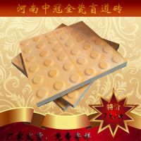 全面建設(shè)示范區(qū)/全瓷盲道磚 遼寧25厚軌道交通地磚6