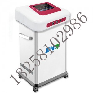 ZM-RZB-II型温热低周波治疗仪