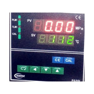 PS20L-25MPa压力温度仪表