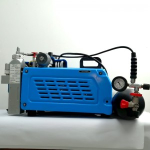 梅思安MSA 100TE TW TB电动高压呼吸空气压缩机