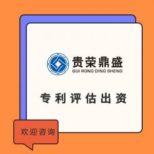 广州市知识产权质押评估专利融资评估