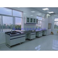 广东全钢实验室家具化学实验室台柜定制全钢试剂柜实验台厂家