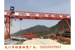 安徽阜阳龙门吊出租公司10吨门式起重机发货中铁局