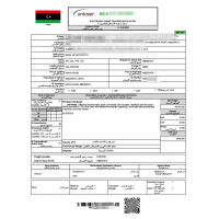 利比亚ECTN(BESC)清关文件问题